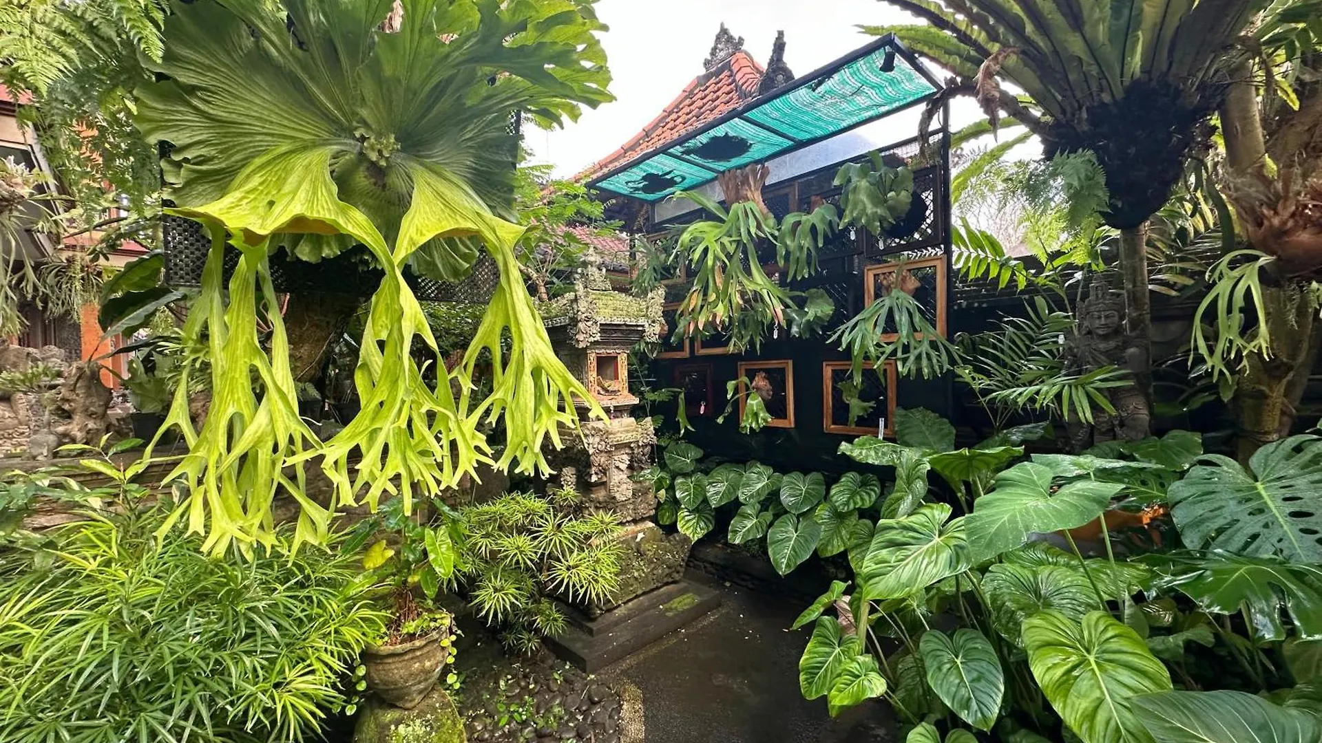 Naeera Guest House 우붓 0*,  인도네시아